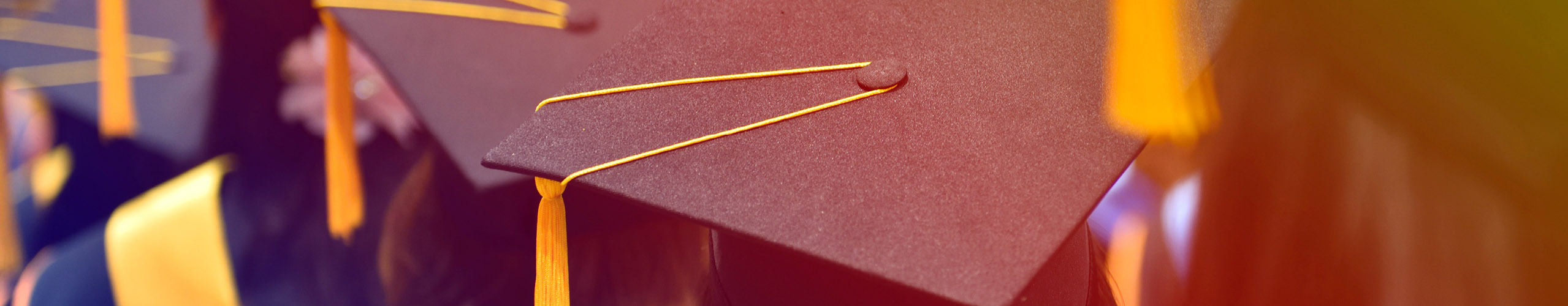 Engage Schoolcraft College Foundation