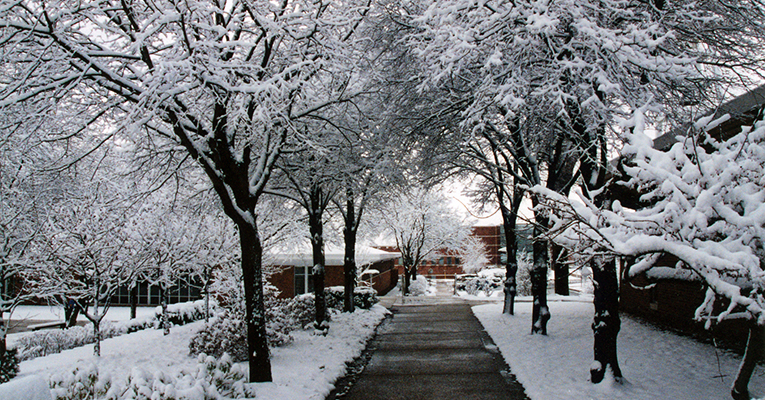 Winter Campus Scene